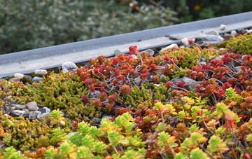 the cost of Netheravon green roof installation