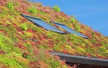 Netheravon living roof systems
